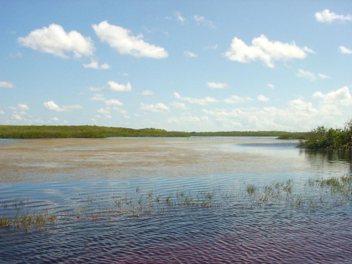 Buttonwood Reserve 1B James Cistern ภายนอก รูปภาพ